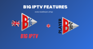 B1G IPTV features